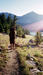 AA_163-077_007H.JPG