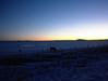 DSC00007.jpg
