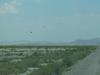 img_0212.jpg