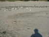 Stinson0020.JPG