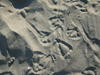 Stinson0021.JPG